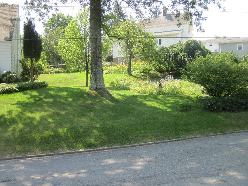 58-Right side yard.jpg